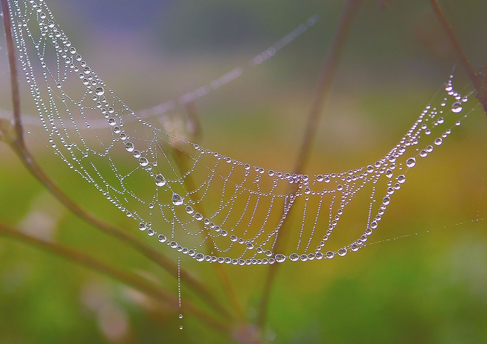 Photograph by Юрий Спасенников