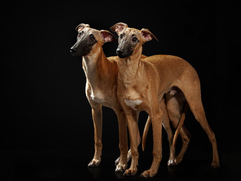 Photograph by Людмила Бандурина