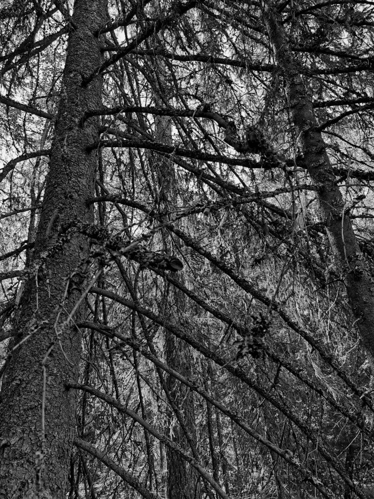 Photograph by Юлия