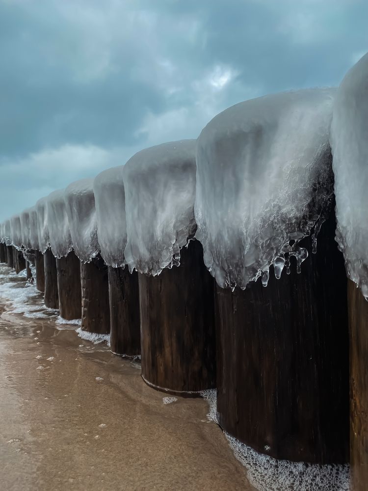 Фотография автора Ольга Артковская