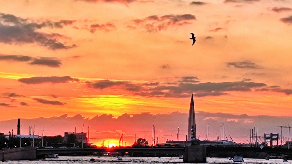 Photograph by Алла Холодова