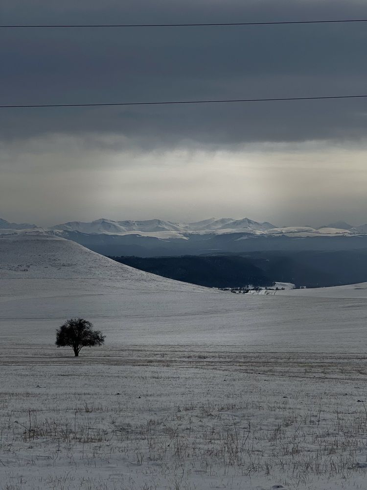 Фотография автора Ника