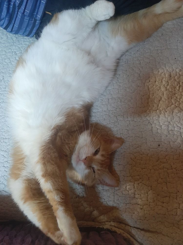 Photograph by Георгий Салюков