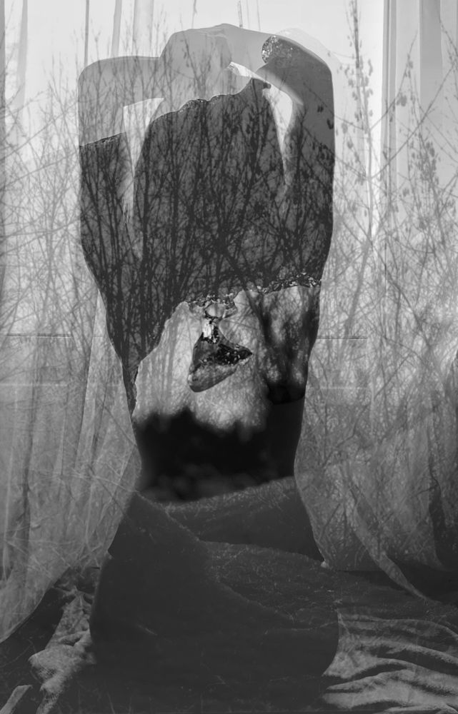 Фотография автора Elga Shtern