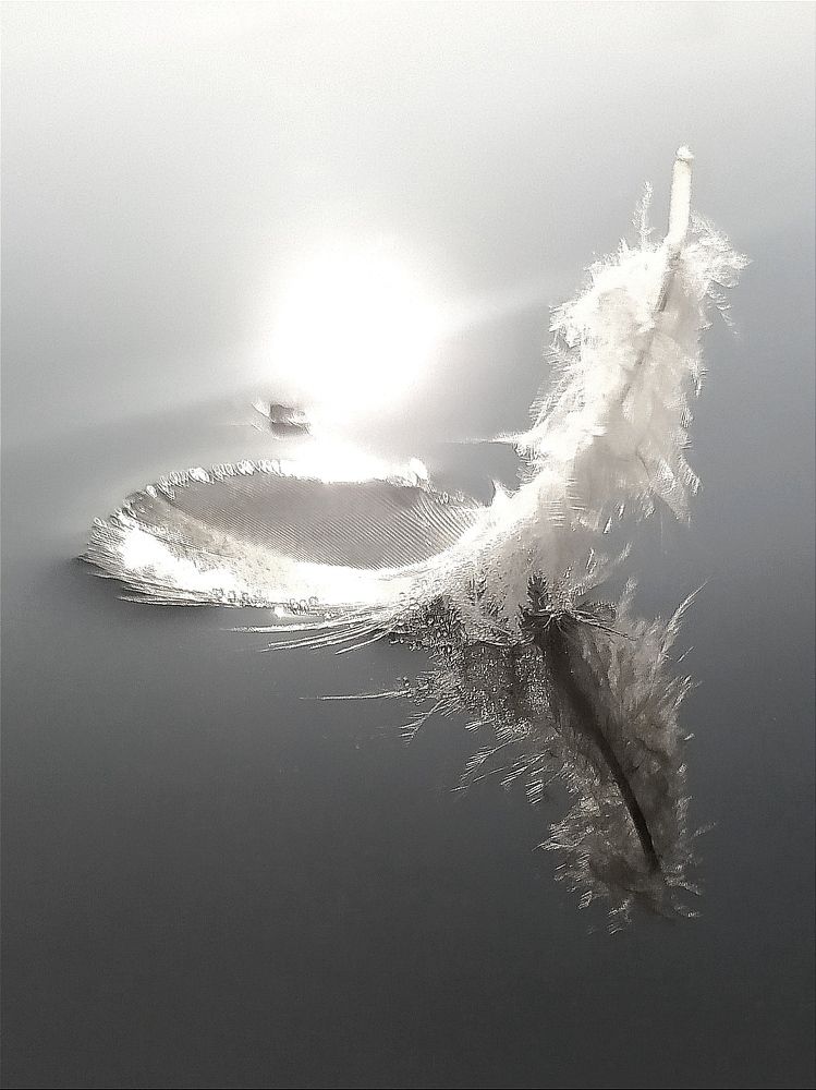 Photograph by Maryna Kukhtsikava