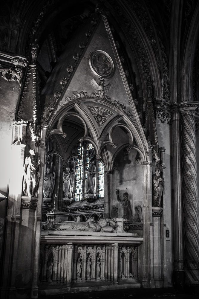 Фотография автора vanessa elbin