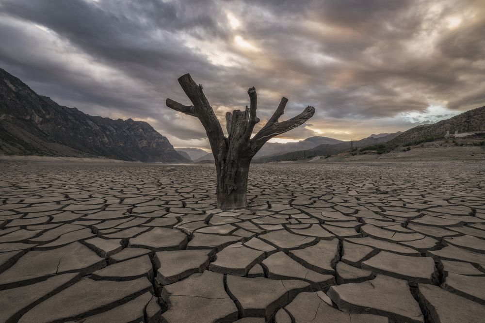 Photograph by Елена Гусева