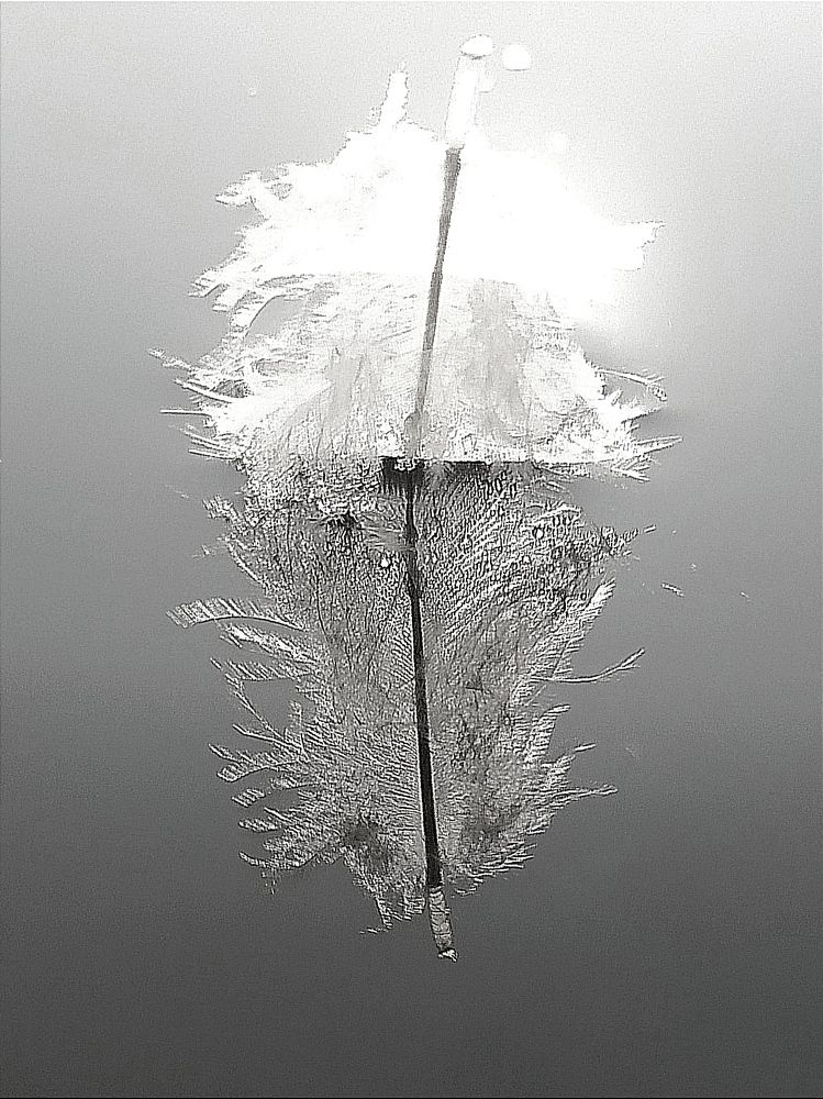 Photograph by Maryna Kukhtsikava