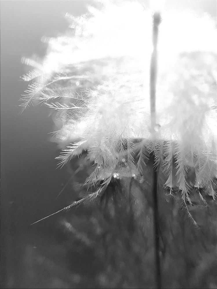 Photograph by Maryna Kukhtsikava