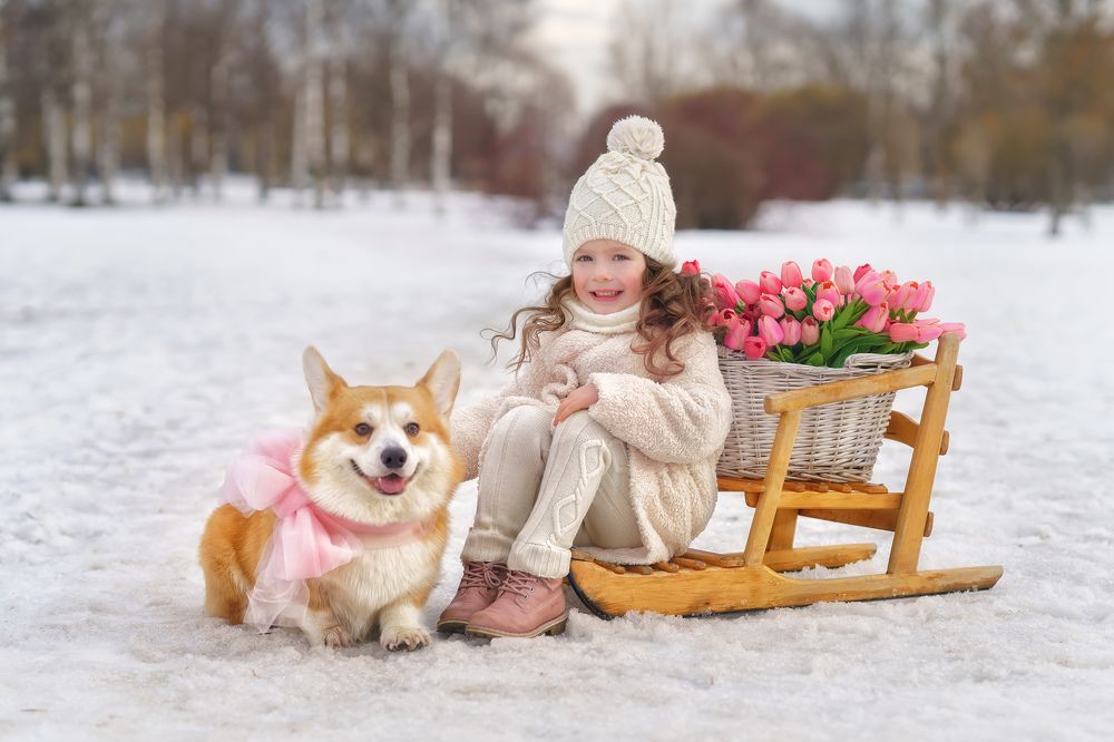 Фотография автора Елена Петрова