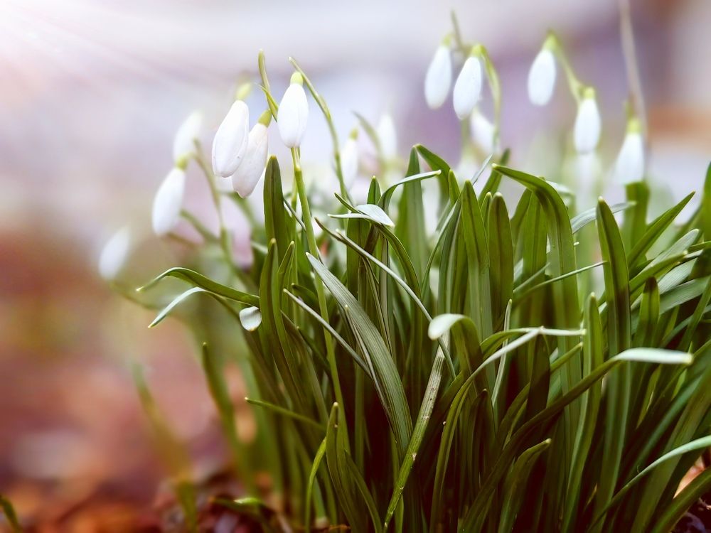 Photograph by Ekaterina Fadeeva