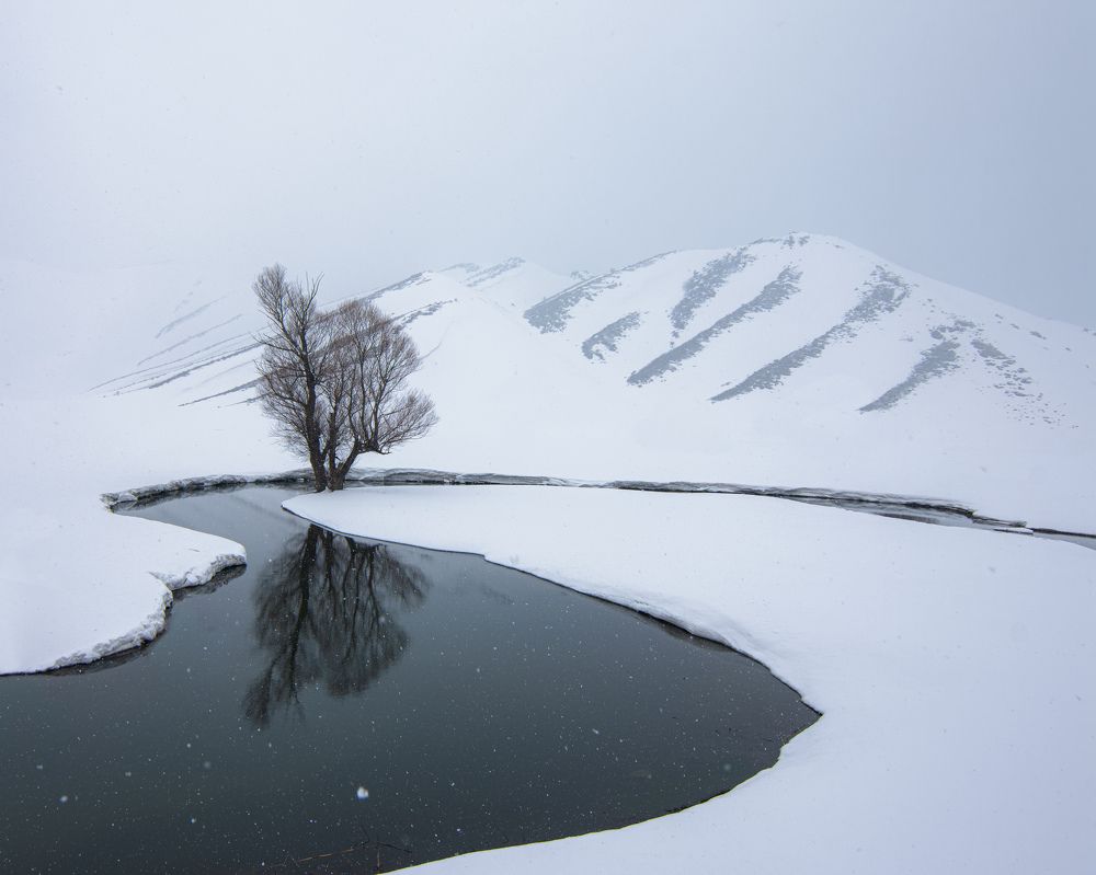 Photograph by mohammad Alipour