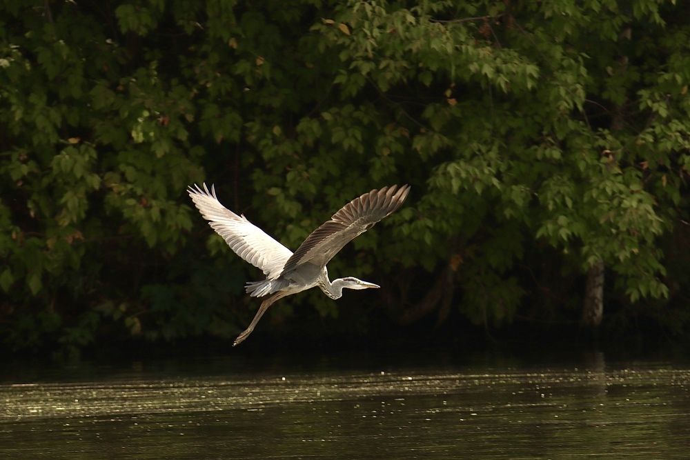 Photograph by Olga Bokareva