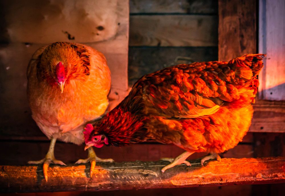 Photograph by Ольга Сафронова