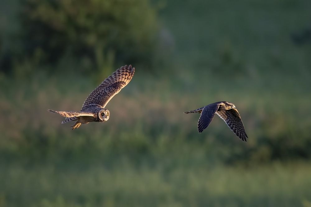 Photograph by André Inidio