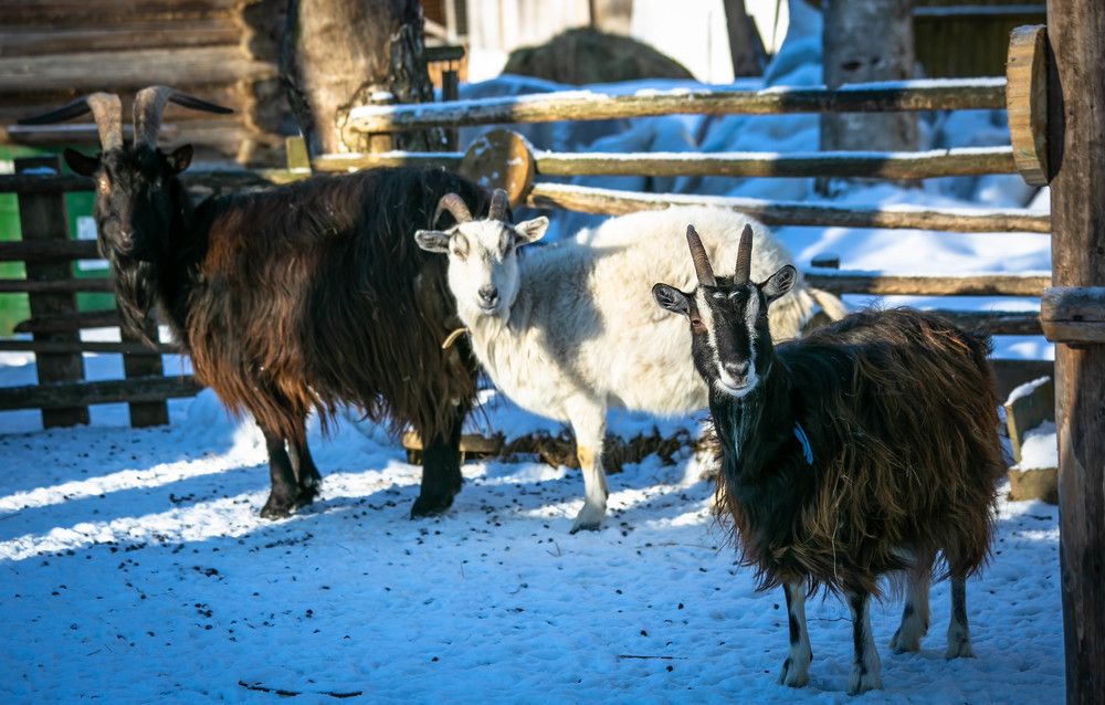 Photograph by Ольга Сафронова