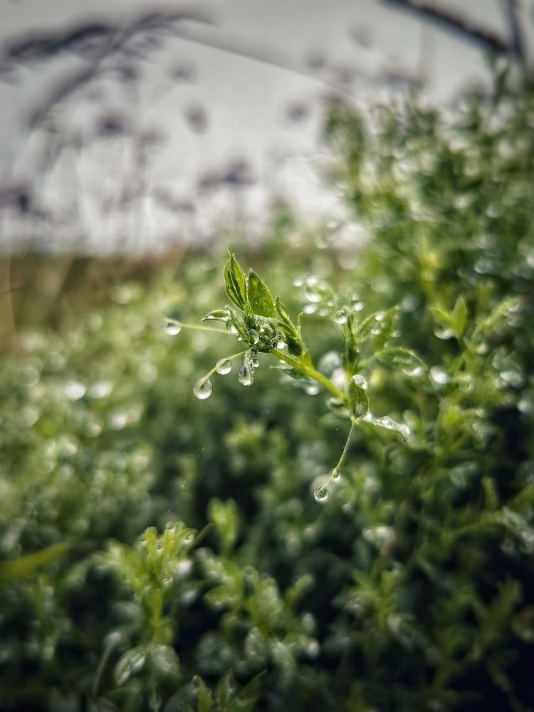 Photograph by Ekaterina Fadeeva