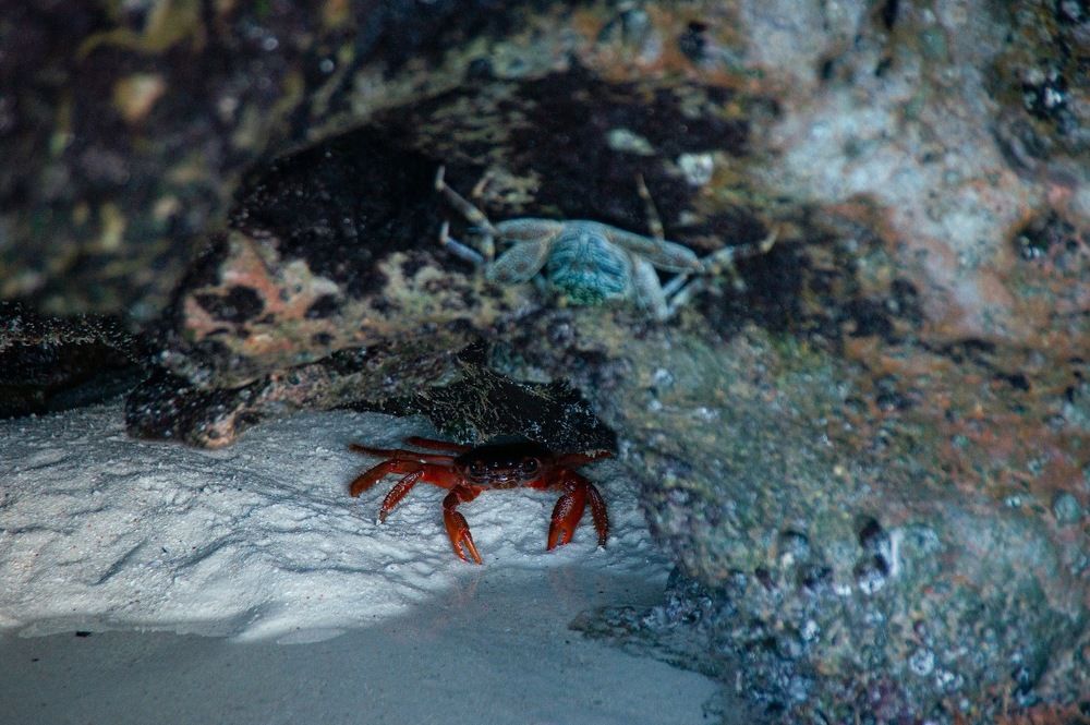 Photograph by Елизавета Корнилова