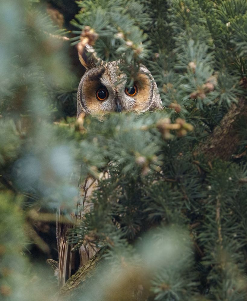 Photograph by Andrew Kuprin