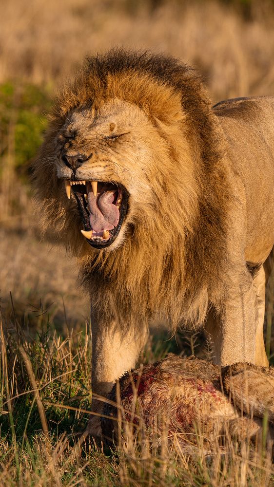 Photograph by Arvind Raj