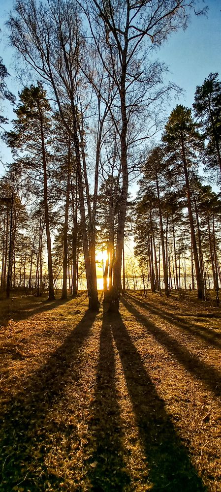 Фотография автора Анастасия Владимирова
