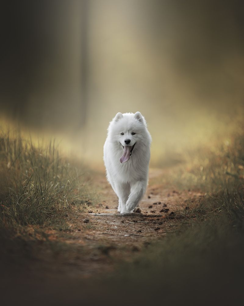 Photograph by Евгения Майорова