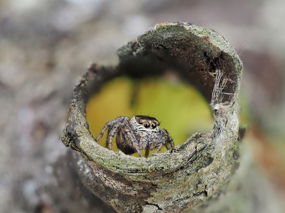 Photograph by Максим Кошелев