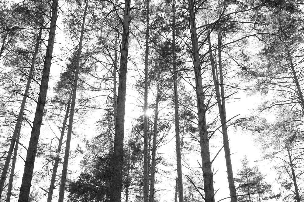 Photograph by Светлана Паренкова