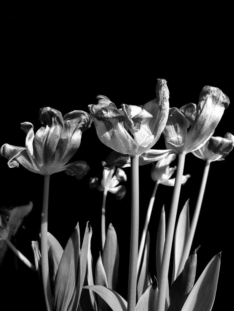 Photograph by Елена