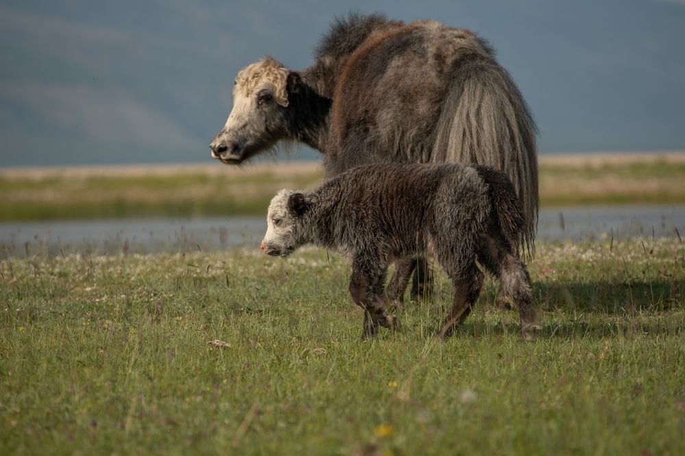 Photograph by Сизых Алëна