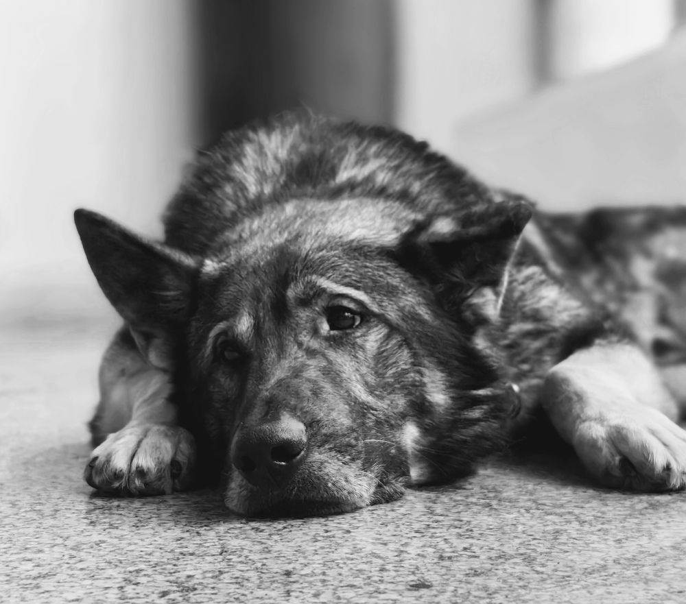 Photograph by Анна