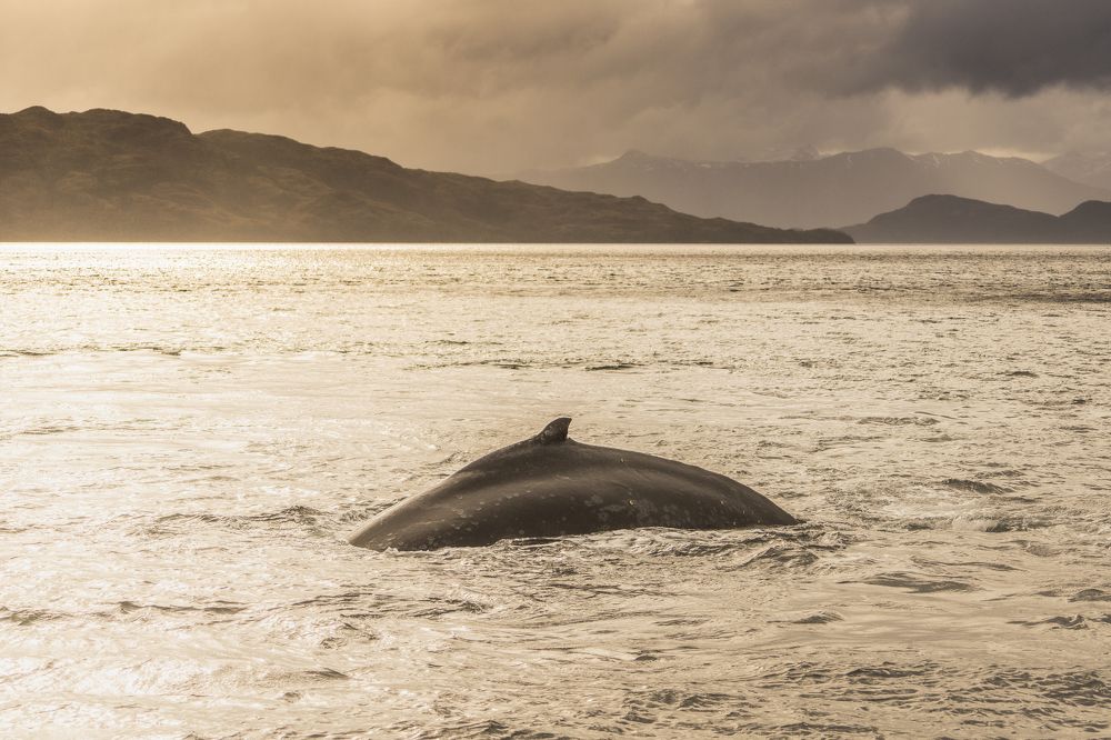 Photograph by Eduardo Hernández