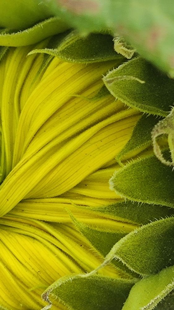 Photograph by Ирина Горбач