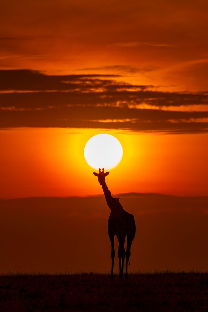 Photograph by Jayakumar MN