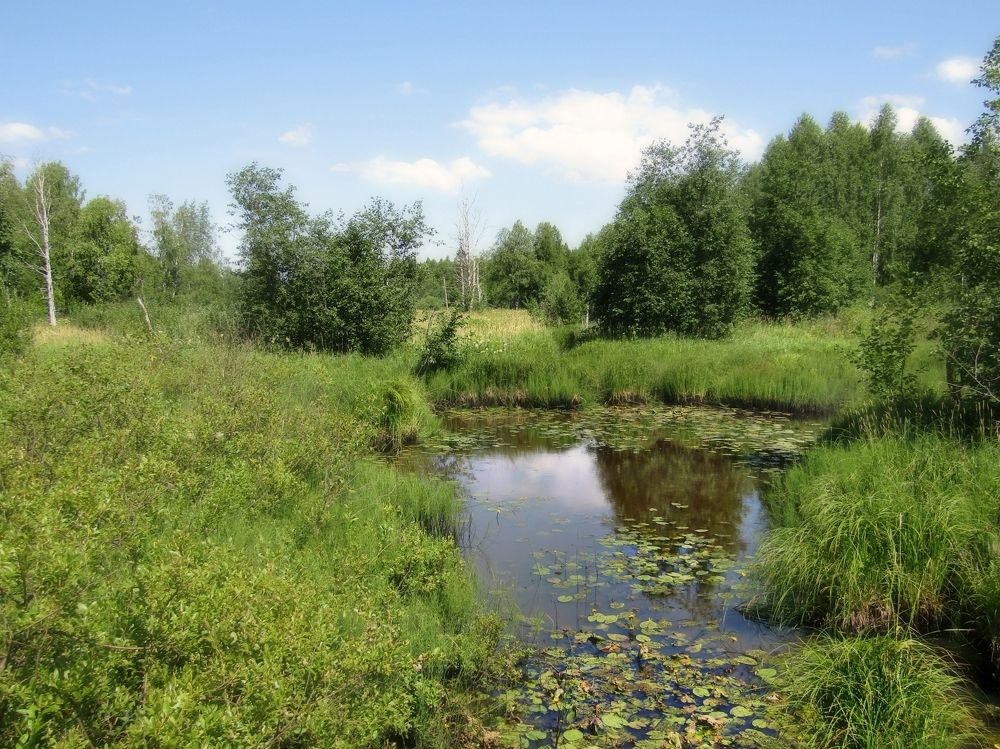 Photograph by Владимир Перминов