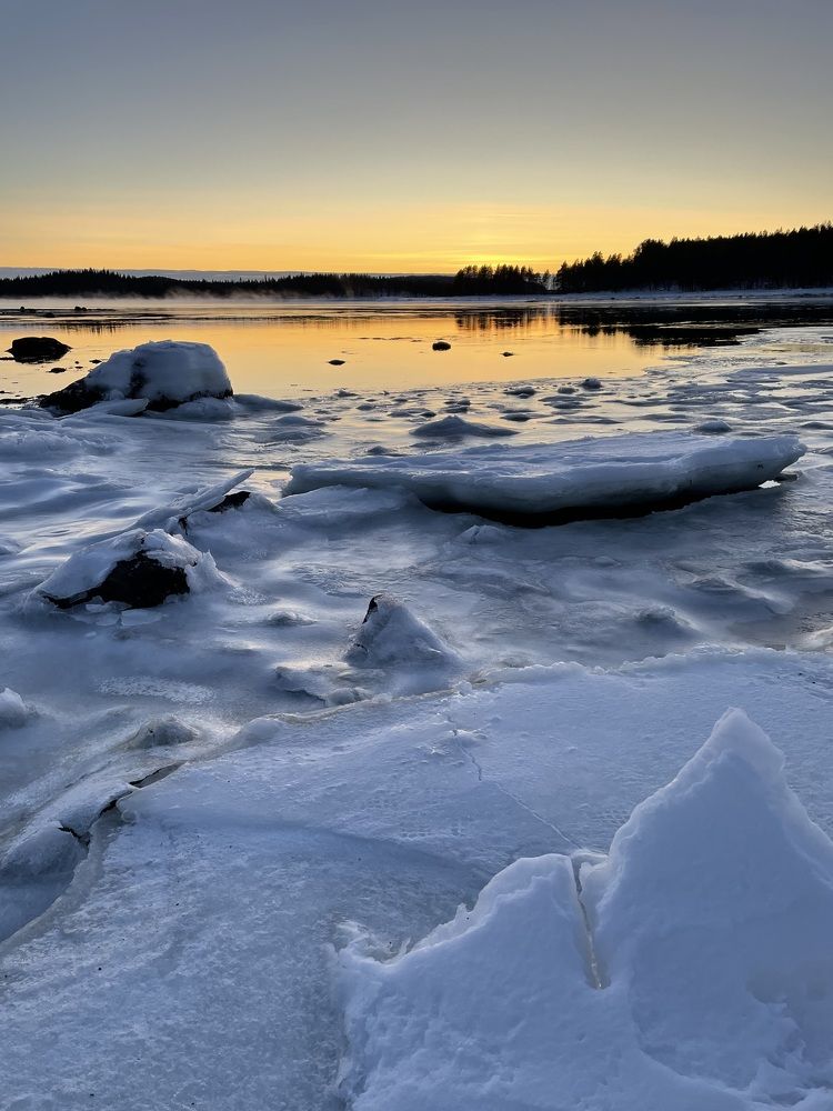Photograph by Алина Сущинская