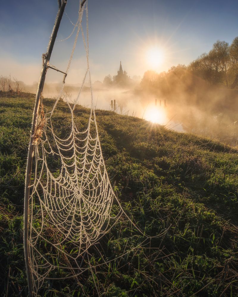 Photograph by Захарова Наталья