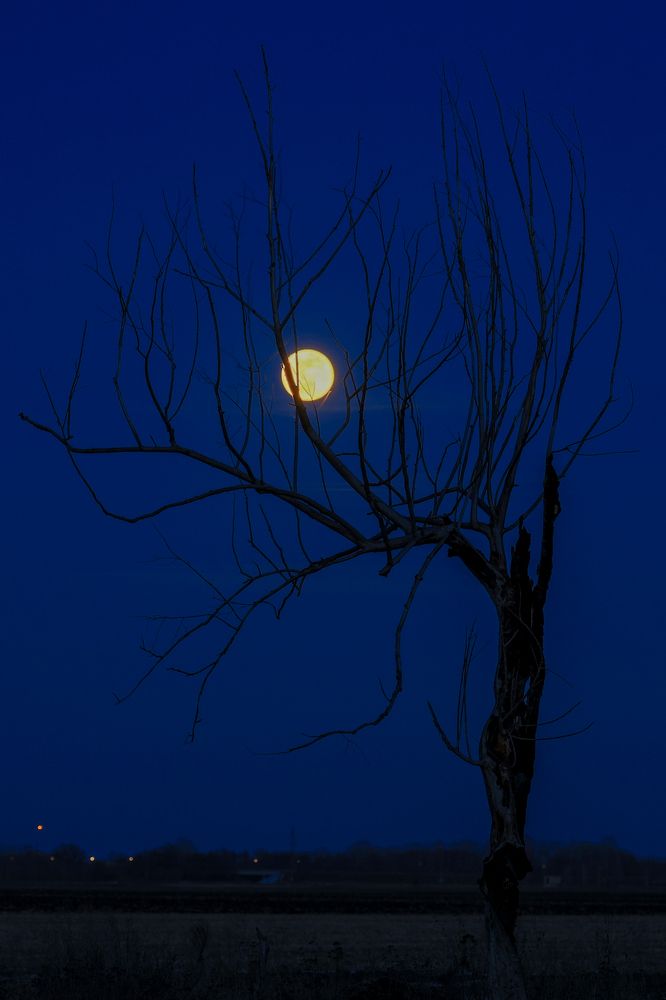 Photograph by Сергей Конюшенко