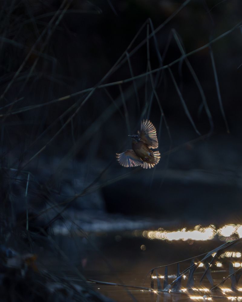 Photograph by Andrew Kuprin