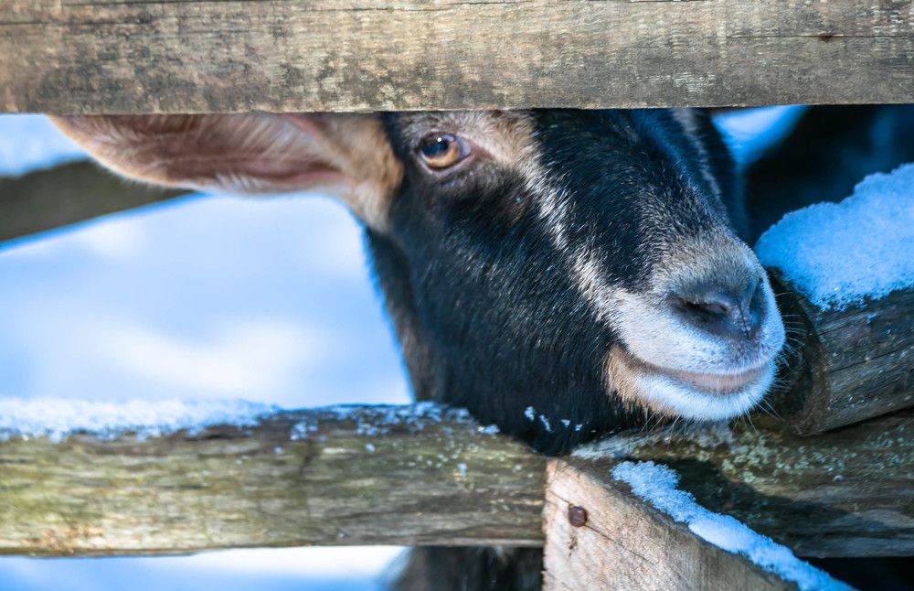 Photograph by Ольга Сафронова