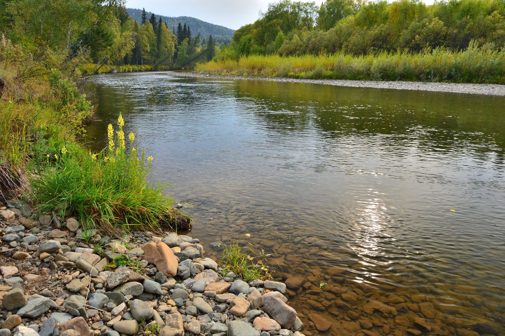 Photograph by Юрий Тимофеев