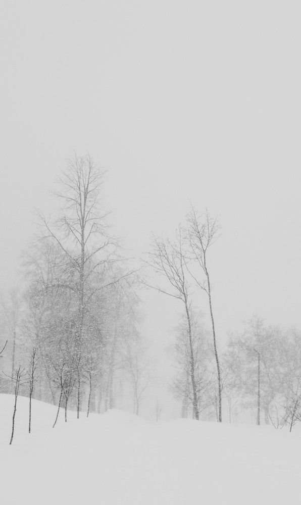 Photograph by Ася Радченко