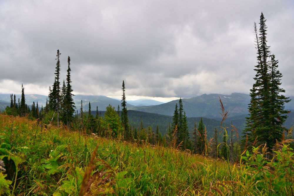 Photograph by Юрий Тимофеев