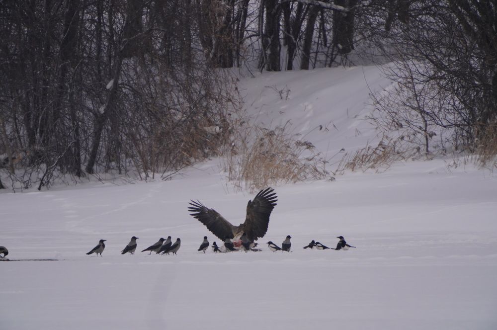 Закон природы