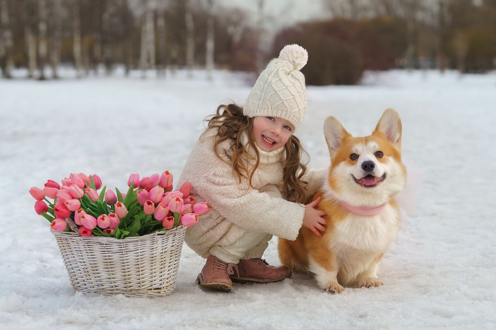 Фотография автора Елена Петрова