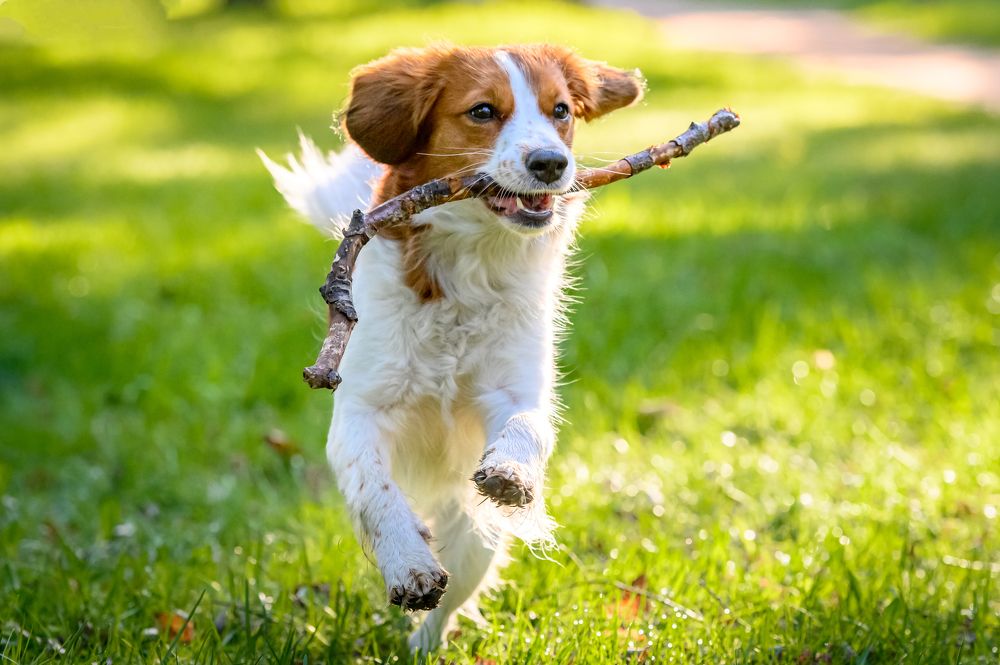 Photograph by Мария Новоселецкая