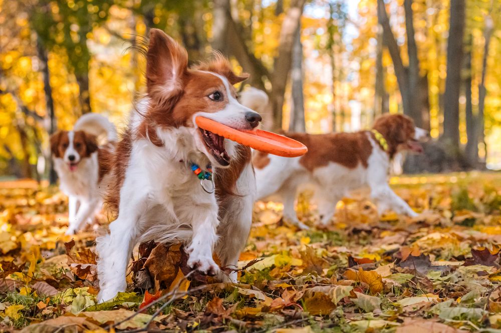 Photograph by Мария Новоселецкая