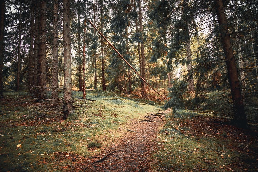 Photograph by Oksana Troshina