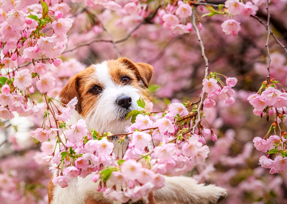 Photograph by Мария Новоселецкая