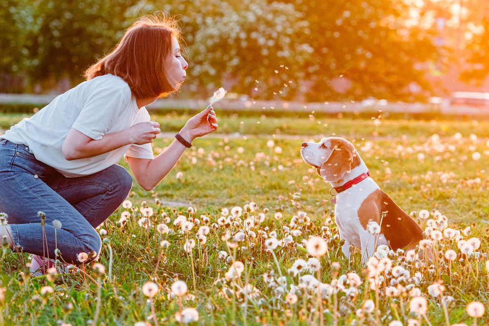 Photograph by Мария Новоселецкая